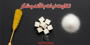 تفاوت نبات با قند و شکر